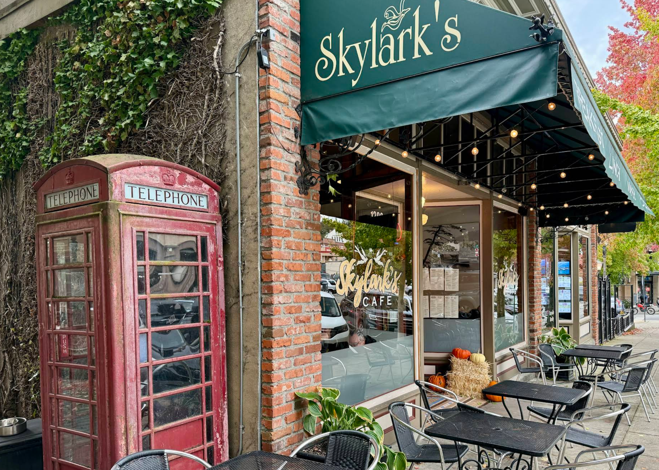 Skylarks Cafe